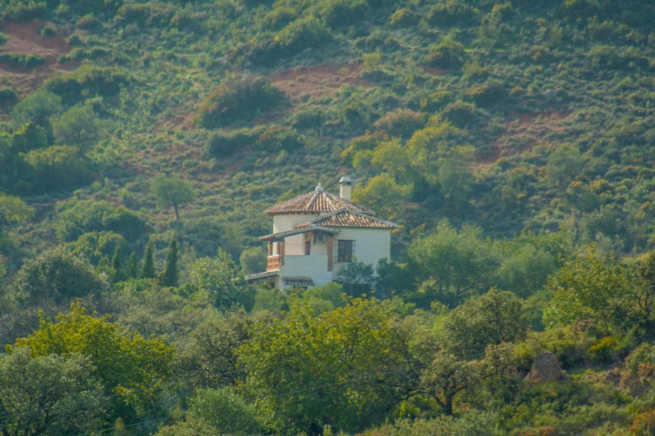 Villa La Torre Rocabella El Chorro Extérieur photo